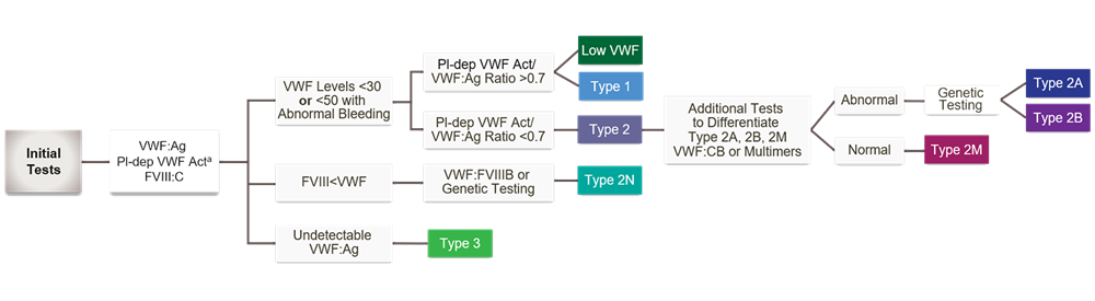 chart of diagnositic process to determine von Willebrand Disease